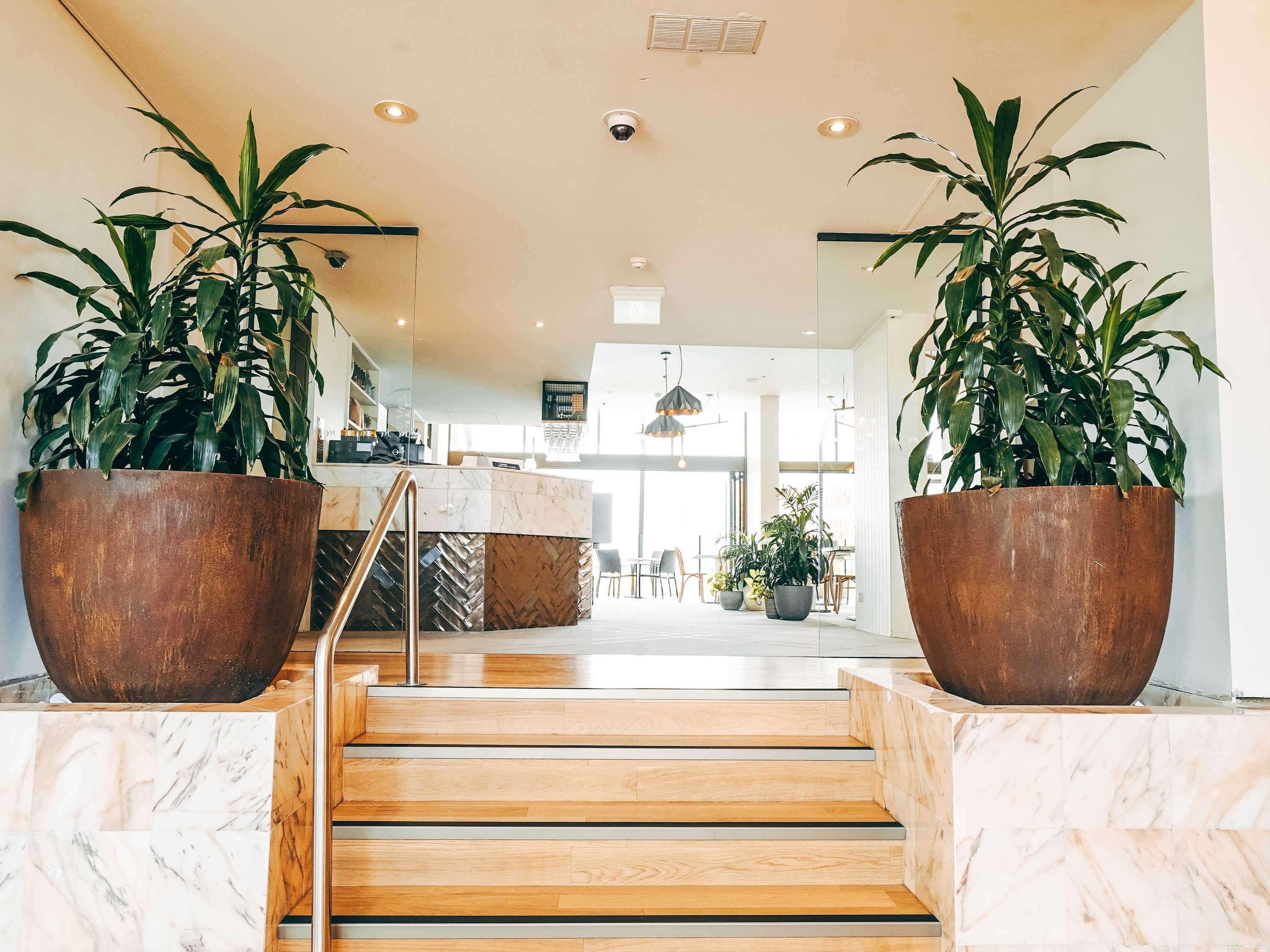 Mercure Charlestown Newcastle Zewnętrze zdjęcie